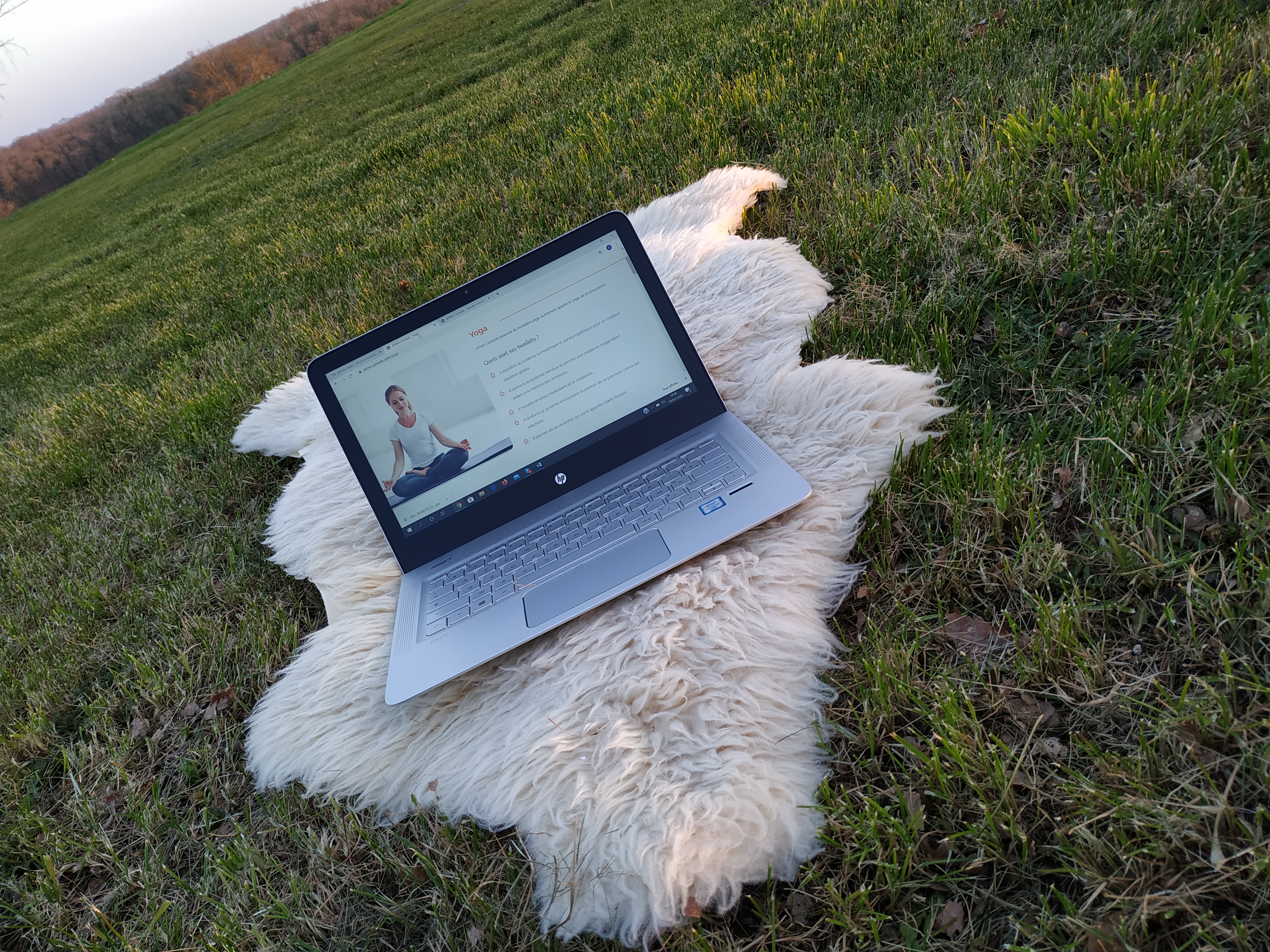 Séances de yoga et méditations en ligne